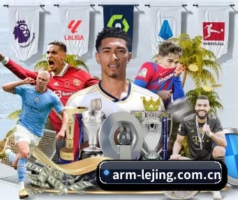 arm-lejing.com.cn APP